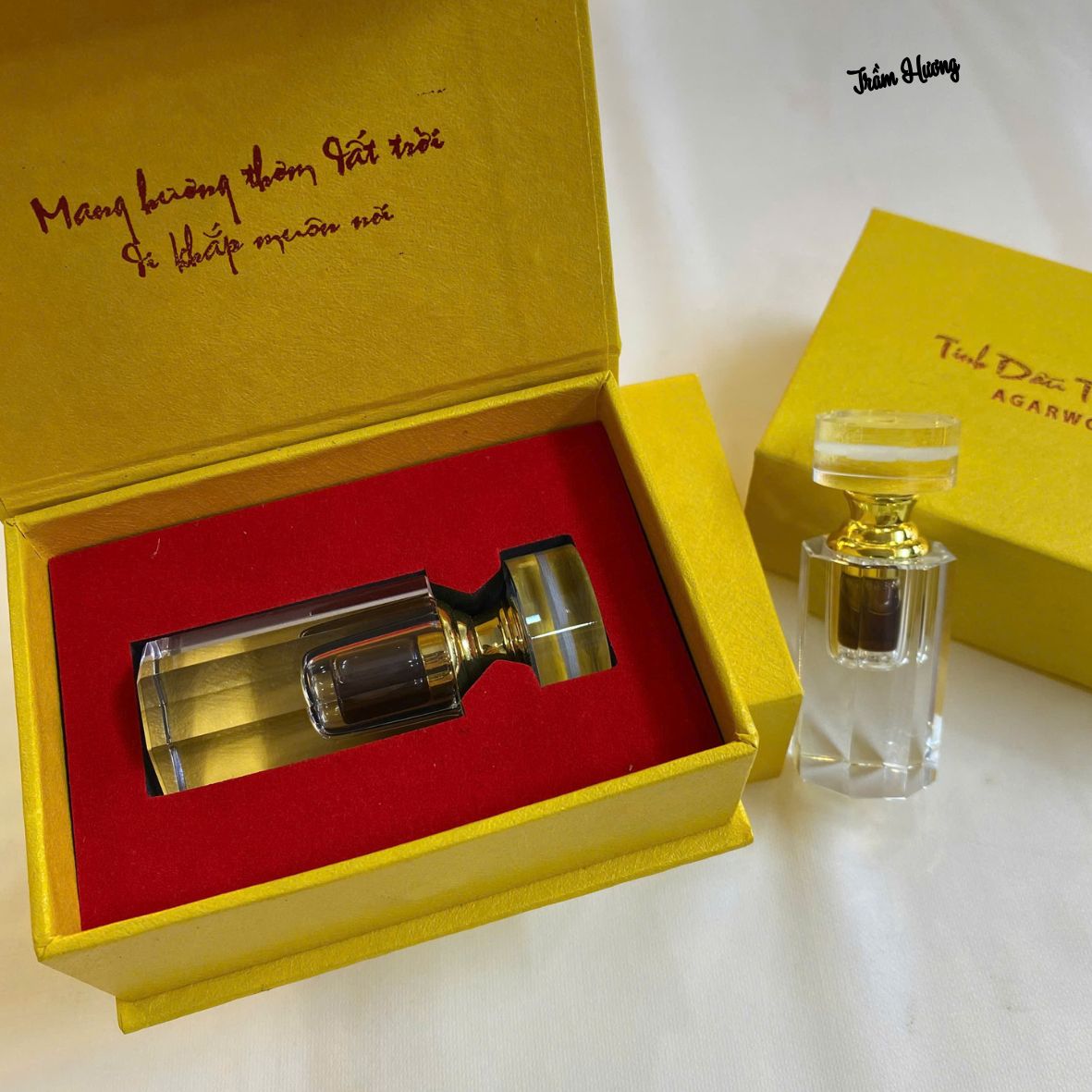 Tinh dầu trầm kiến tự nhiên Việt Nam 